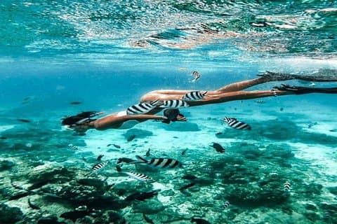 Bali Snorkeling Blue Lagoon and Tanjung Jepun All Included