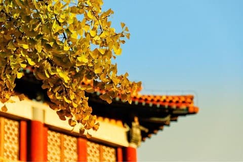 All-Inclusive 3-Day Private Beijing Tour from Xi'an by Bullet Train