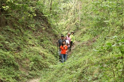 Jungle Hike Tour