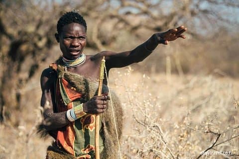 Land of Bushmen Safari