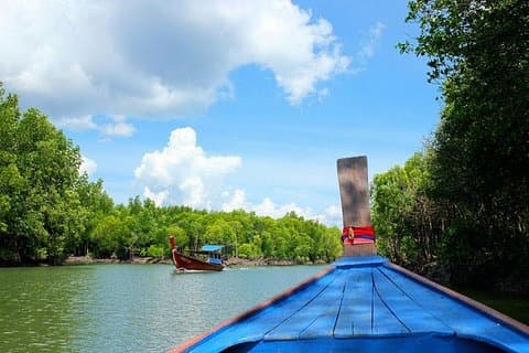 Excursão pela floresta de manguezais de Tung Yee Peng em barco Longtail saindo de Koh Lanta