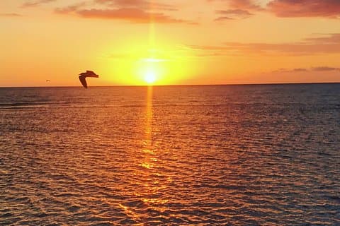 Floyds Pelican Bar
