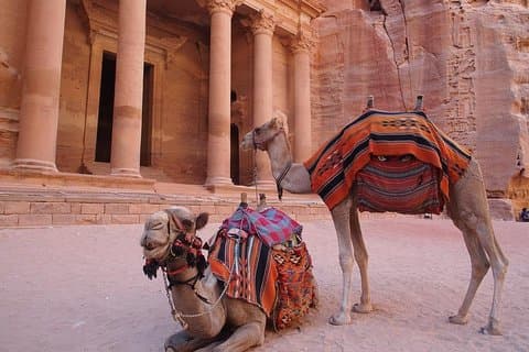 Excursión por la costa de 2 días y 1 noche a Petra y Wadi Rum (EN Petra)