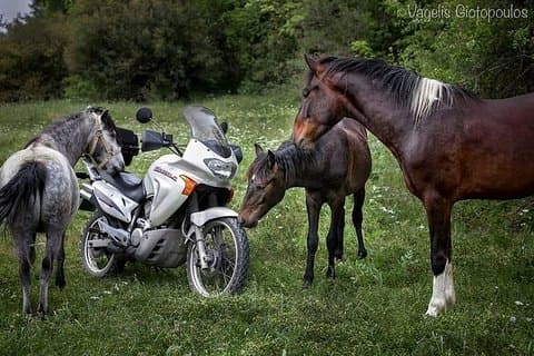 Giri dei cavalieri (Vikos-Aoos Geopark)