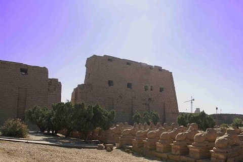 Visite d'une demi-journée à Louxor (rive est)