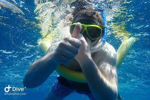 Snorkling på Catalina-øyene