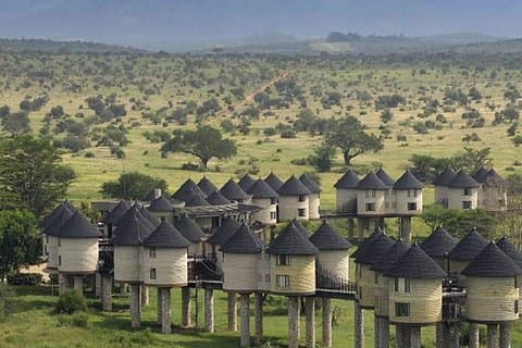 4-DAY Exciting Tsavo/Amboseli National Park/Mt. Kilimanjaro Safari