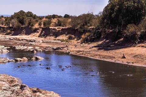9-dagars kryssning Kenya Safari med DALA (anpassningsbar)