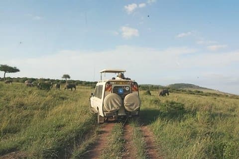 7 dager 6 netter Aberdares / Lake Nakuru / Masai Mara / Naivasha-sjøen / Amboseli