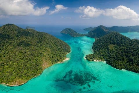 Excursão de mergulho com snorkel de dia inteiro nas Ilhas Surin saindo de Khao Lak