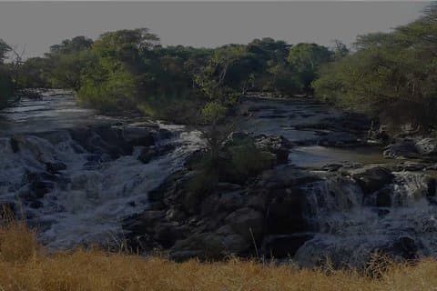 Awash Nationalpark vilde liv 2 dages tur