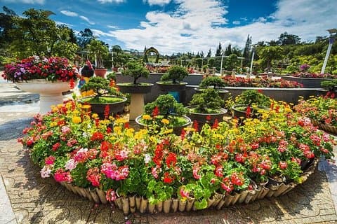 Da Lat til Nha Trang - Privat overføring