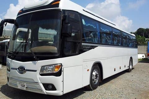 Shared Transfer from Hotel to Airport