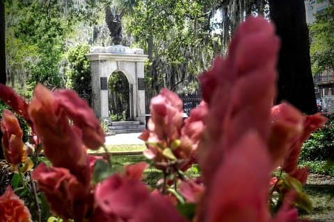 Botanische tour (door Walk With Me Savannah Tours)