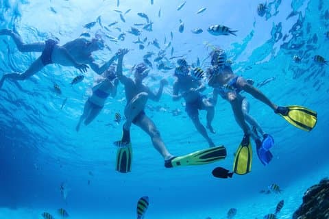 Dolphin Mini Cruise ved Playa del Carmen