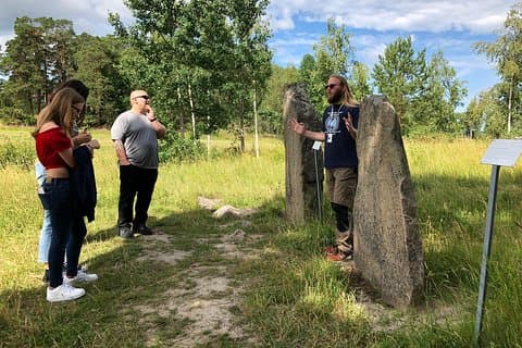 Private Full Day Viking History Tour fra Stockholm Inkludert Sigtuna og Uppsala