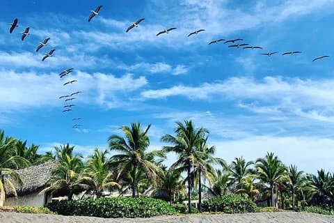 Excursión de un día entre manglares, pesca y actividades en la playa de arena negra + almuerzo
