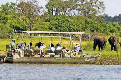 Chobe Day Trip In Botswana