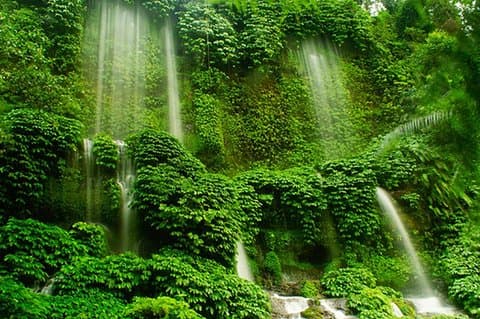 Visite de Benang Stokel et de la cascade de Kelambu - Visite privée de Lombok