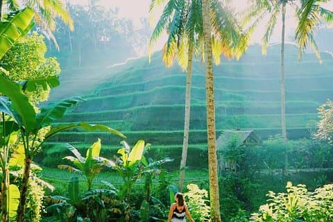 Ubud Tours-pakket