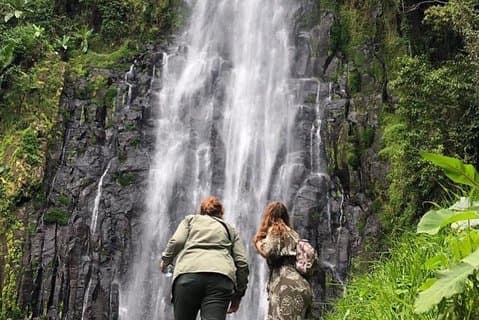 Kilimanjaro-Wasserfälle-Wanderung und Tagesausflug zu den heißen Quellen von Moshi