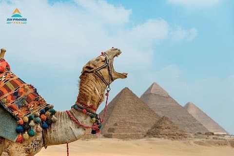 Cairo and Luxor Tours
