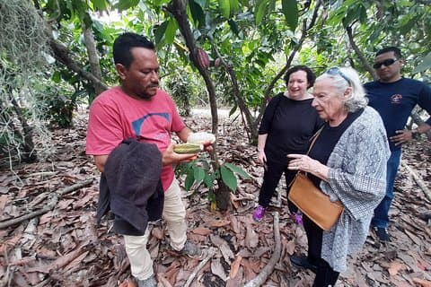 Halbtägiger Schokoladen-Workshop - Cacao Farm