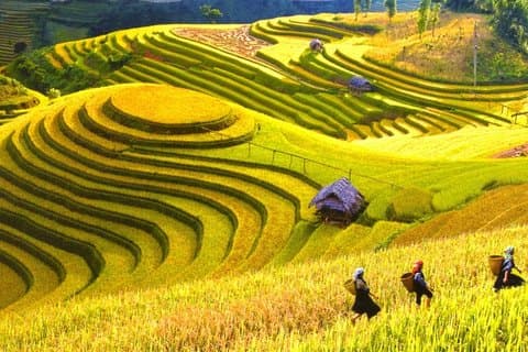 Día completo - Tour en bicicleta en Sapa
