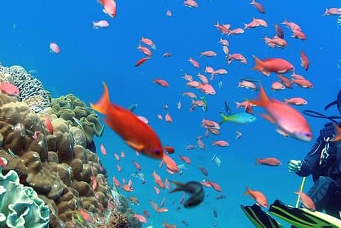 bali bestes Ziel - Spezielle Reise nach Nusa Penida