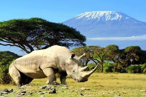 4Jours Masai Mara-Lac Nakuru-Lac Naivasha Safari classique privé
