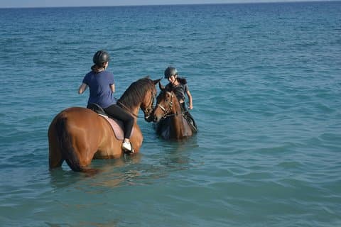 Ridning på stranden, Rhodos