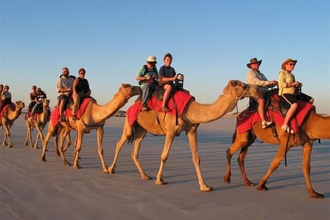 7 timmars fyrhjulingssafari, kamellritt, grillfest och show