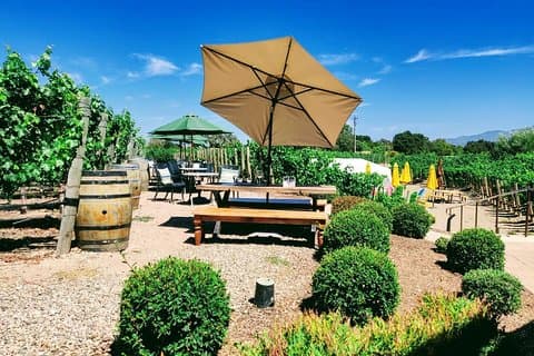 Santa Barbara Wine Tasting Day Tour fra Los Angeles