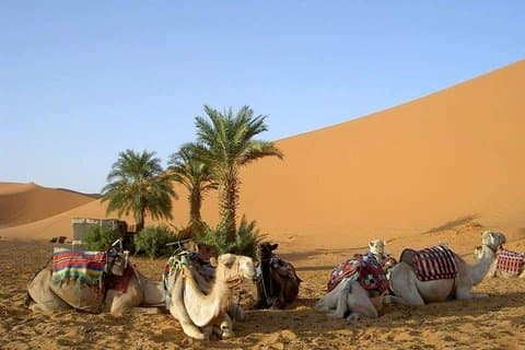 8 Tage Tour Nomad Adventure Desert Camel Trekking von Marrakesch Merzouga