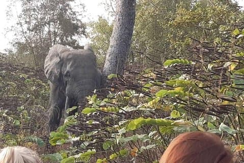 Viagem de 3 dias ao Parque Nacional Mole