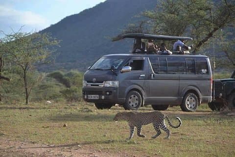 4 giorni MaasaiMara-Nakuru Group si unisce a Safari