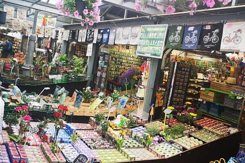 Unik sykkeltur i Amsterdam