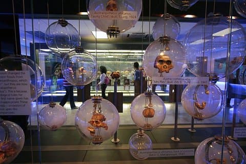 Cradle of Humankind Tour