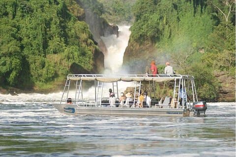 3 Days Murchison Falls - Budget