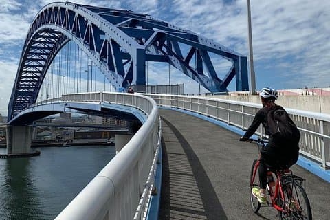 Porto di Osaka e giro turistico guidato