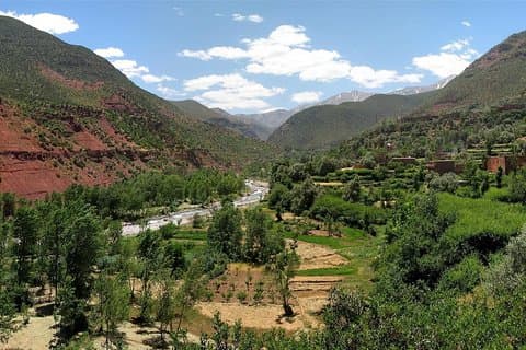 Ourika Valley (Atlas Mountain) - Dagtur fra Marrakech