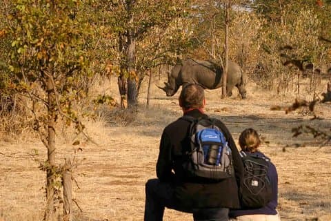 Rhino Walking Safari im Musi Otunya Nationalpark