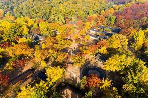 VIP Private Nami Island & Petite France & Garten der Morgenruhe