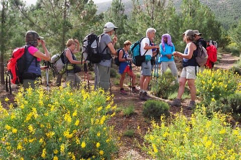 High Atlas Day Trips from Marrakech