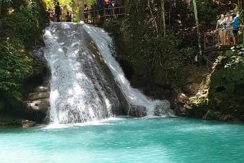 Blue Hole och Dunn's River Falls privat tur från Montego Bay