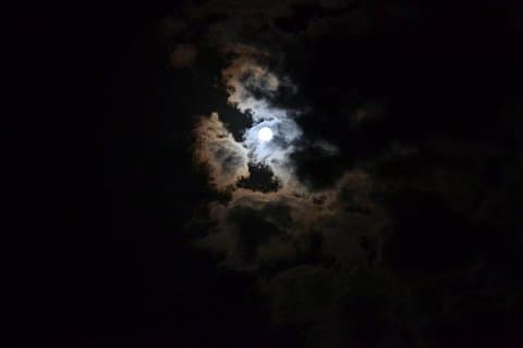 コネロ公園でのアストロフィルスとの夜-プライベートツアー