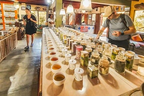 Hav, sand och marint liv från Colombo (2 dagar)