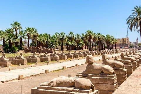 Luxor West Bank, Valley of Kings e Felucca Ride