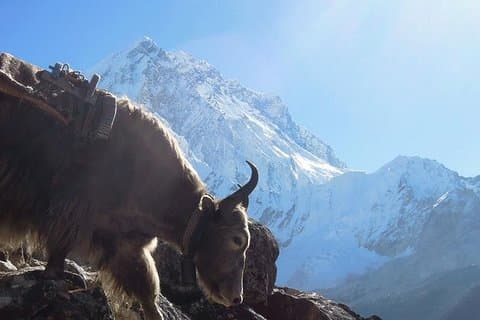 16 Tage Everest Base Camp Trek
