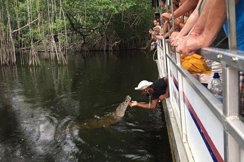 Black River Safari mit Transport von Montego Bay